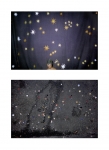 2008_PARTICULE_APaiement