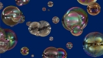 2006_EXPANSIBLE_detail_3_APaiement